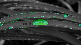Live in Color logo, green, water drops, selective coloring HD wallpaper