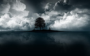 silhouette of tree, sea, island, clouds