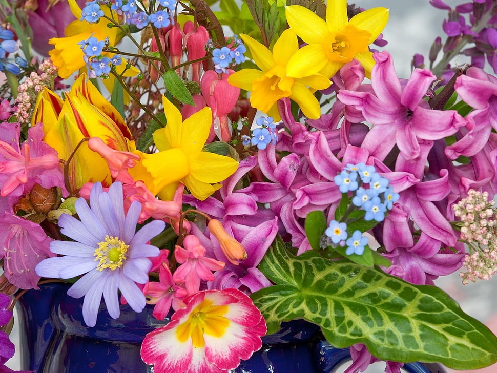 purple, yellow and pink flowers HD wallpaper