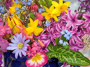 purple, yellow and pink flowers