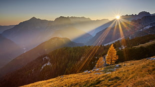 landscape nature during sunrise HD wallpaper