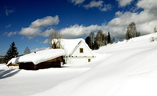 white cabin, snow HD wallpaper