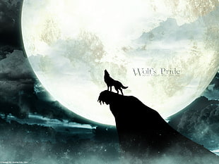 silhouette image of howling wolf wallpaper, wolf, Moon