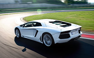 white Lamborghini Aventador coupe, car, Lamborghini, Lamborghini Aventador