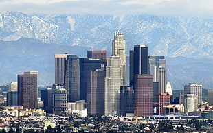 gray-and-brown high-rise buildings, Los Angeles, city, cityscape