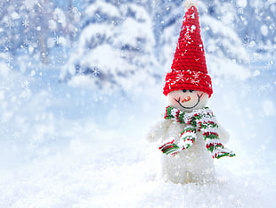 shallow focus photography of snowman wearing red hat