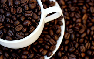 brewed coffee beans with white ceramic cup photo
