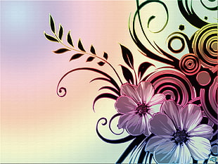 white, black and pink floral illustration
