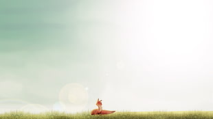 orange fox