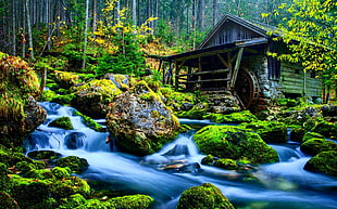 brown wooden shed beside falls in forest landscape photography HD wallpaper