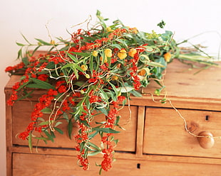 orange and red petaled flowers on brown wooden drawer chest