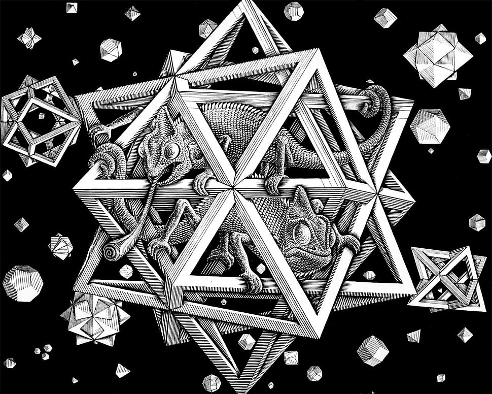 Chameleon in gray star lantern illustration, digital art, simple  background, M. C. Escher, optical illusion HD wallpaper | Wallpaper Flare