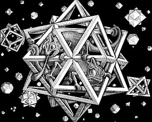chameleon in gray star lantern illustration, digital art, simple background, M. C. Escher, optical illusion