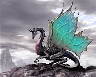 black, teal, and red Dragon illustration HD wallpaper