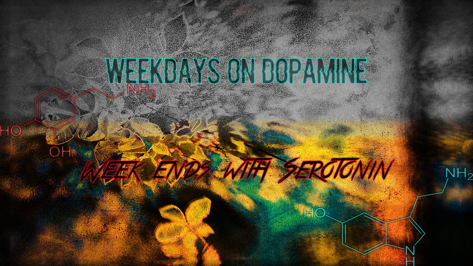 weekdays on dopamine digital wallpaper, drugs, work, anatomy, LSD HD wallpaper