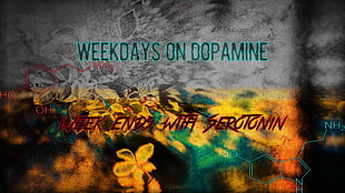 weekdays on dopamine digital wallpaper, drugs, work, anatomy, LSD HD wallpaper