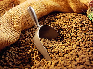 scoop of coffee beans