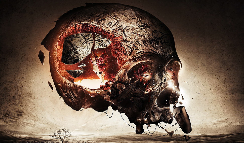 huma nskull digital wallpaper, fantasy art, skull HD wallpaper