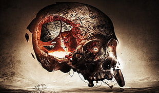 huma nskull digital wallpaper, fantasy art, skull