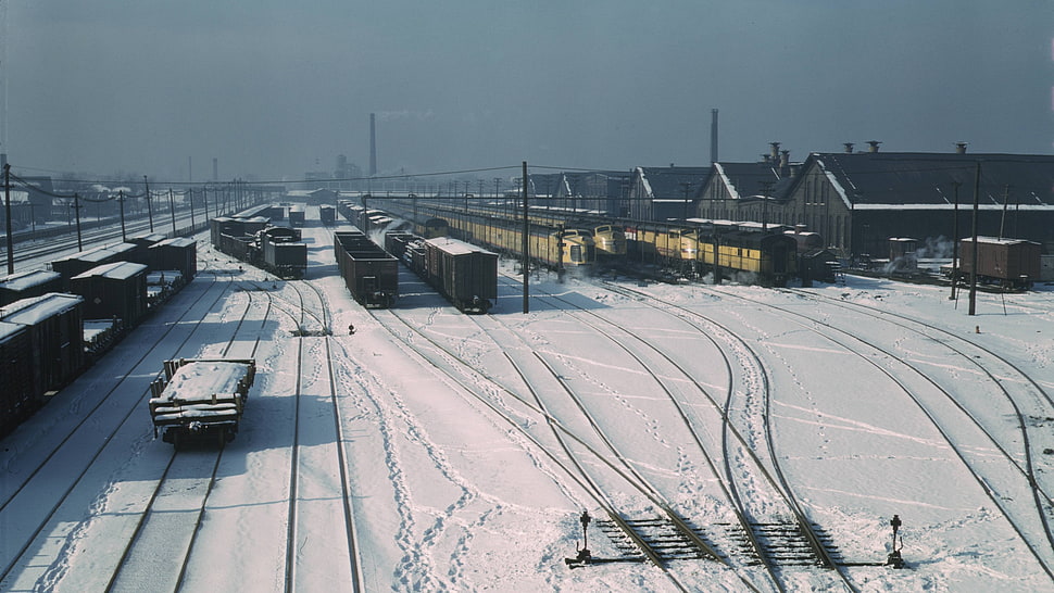 yellow buss, train, train station, freight train, railyard HD wallpaper