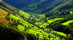 green mountains under blue sky during day time, cantabria HD wallpaper