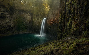 body of water, nature, landscape, waterfall, moss HD wallpaper
