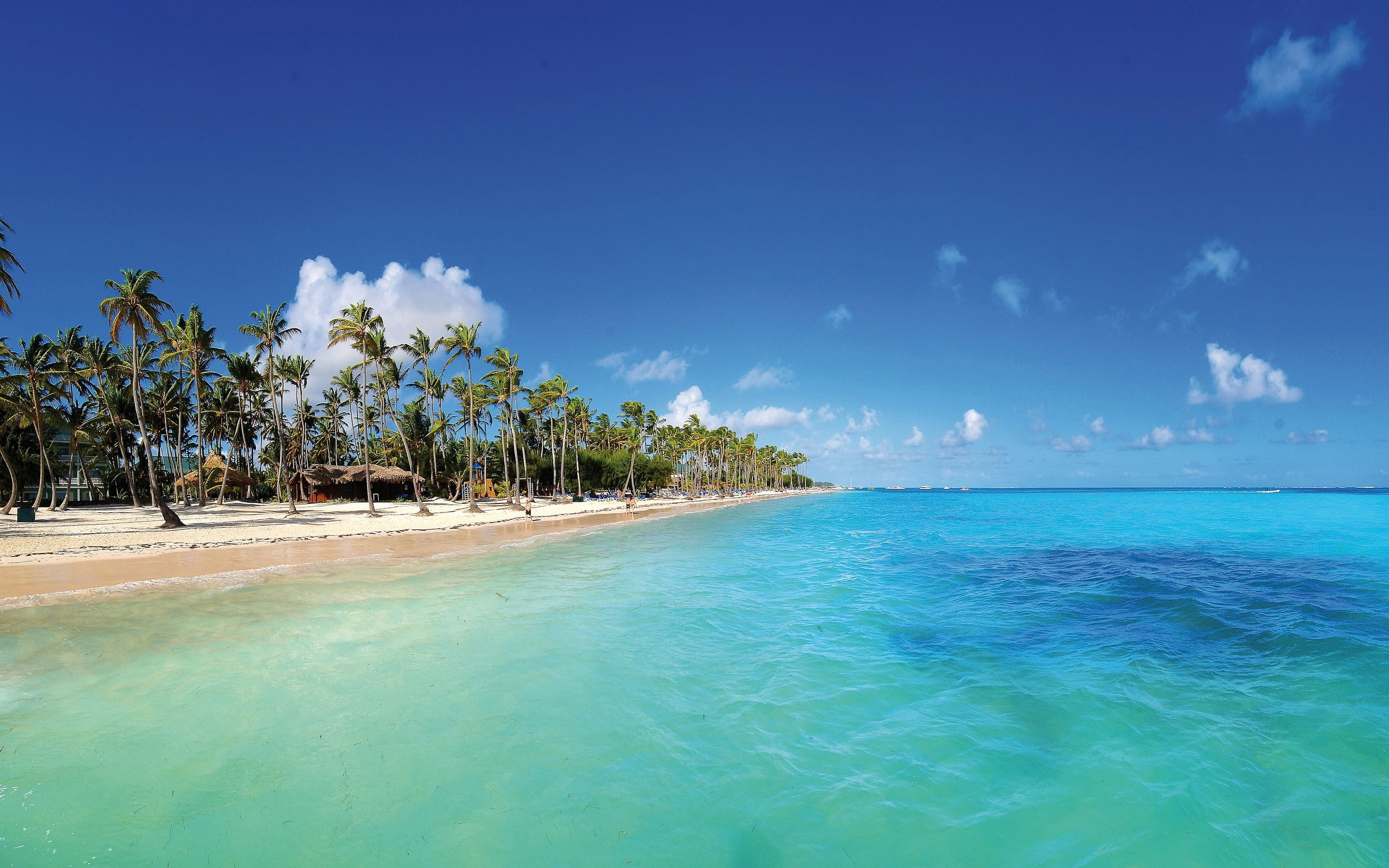 Beach shore photo