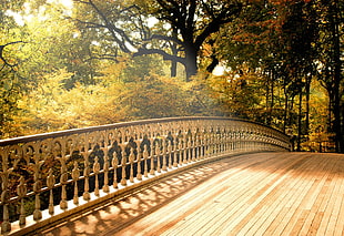 brown wooden bridge HD wallpaper