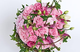 pink Roses bouquet closeup photo