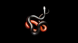 red and black snakes