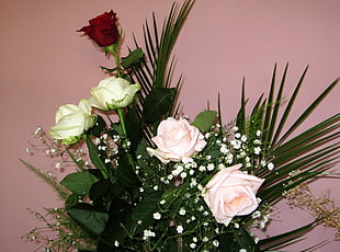 four white and pink Roses