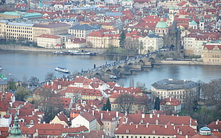 aerial photo of bridge during daytime HD wallpaper