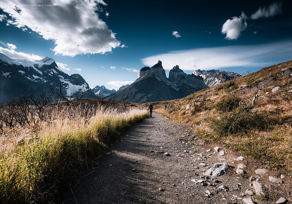 green grass field, nature, path, grass, mountains HD wallpaper
