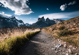 green grass field, nature, path, grass, mountains