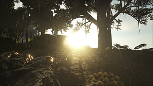 black and white floral curtain, Ark: Survival Evolved, sunset HD wallpaper