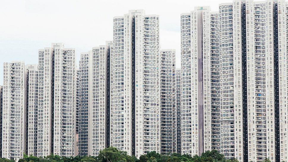 white and green labeled boxes, skyscraper HD wallpaper