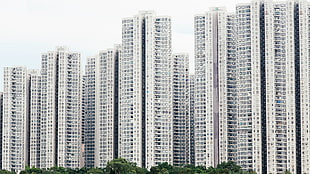 white and green labeled boxes, skyscraper