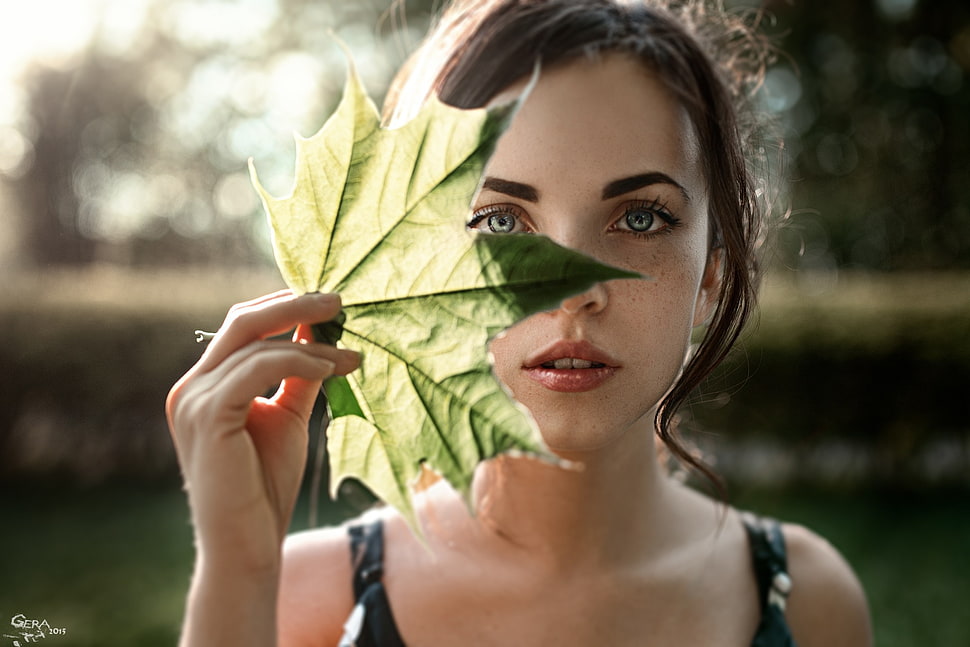 woman holding green maple leaf HD wallpaper