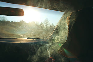 clear glass fish tank with black frame, smoke, smoking, car, car interior