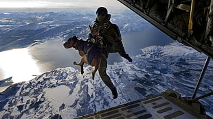man and dog jump off plane wearing parachute HD wallpaper