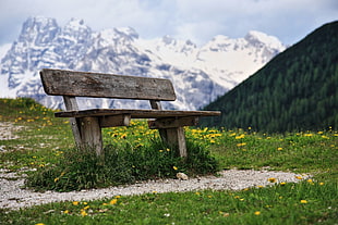 brown and black wooden bench, landscape, trees, mountains, forest