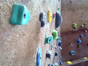 photo of assorted color of wall climbing plastic grips HD wallpaper
