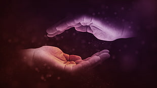 photo of two hands HD wallpaper