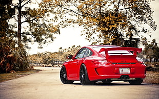 red Porsche 911 coupe, car
