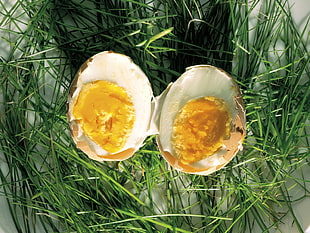 photo of sliced in half boiled egg