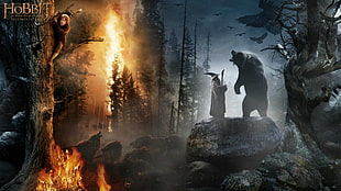 The Hobbit wallpaper, The Hobbit, movies, The Hobbit: An Unexpected Journey HD wallpaper