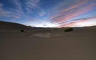 desert, landscape