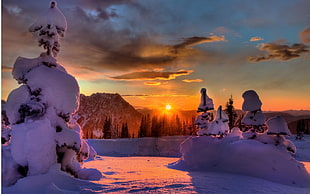 photograph of snow during sunset