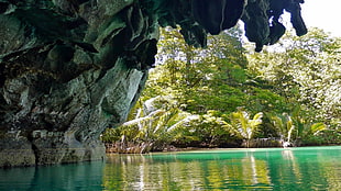 tall green trees, cave, water, nature, rock