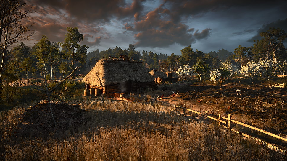 brown house on open field digital wallpaper, landscape, screen shot, The Witcher 3: Wild Hunt, video games HD wallpaper
